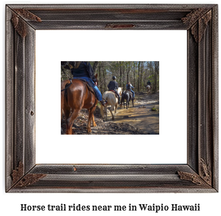 horse trail rides near me in Waipio, Hawaii